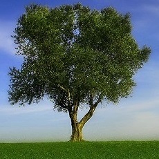 Da sind wir zu Haus!